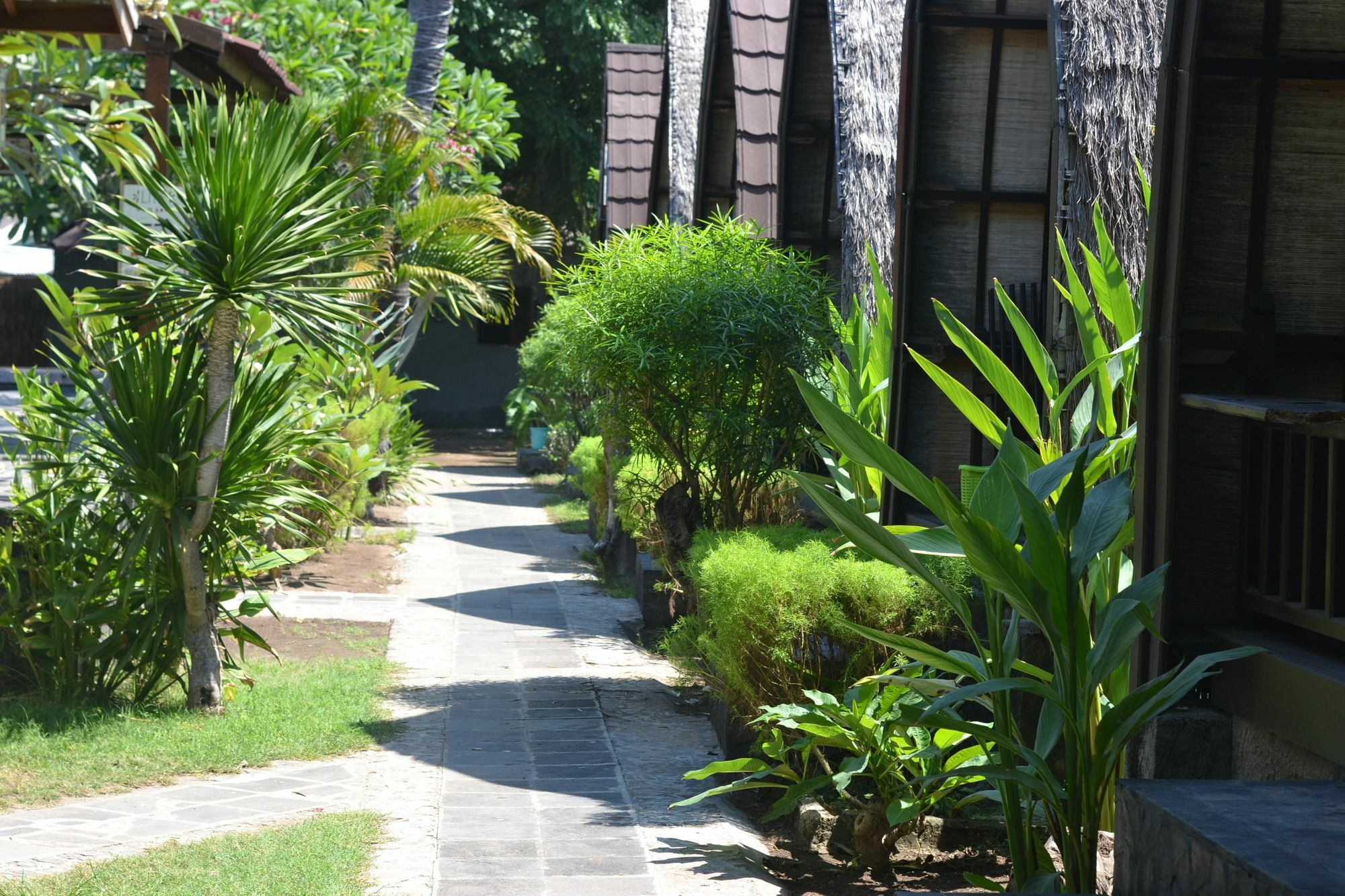 Amora Villa Gili Trawangan Extérieur photo